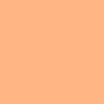 Rosco_Supergel_Rosco-Supergel-316.jpg