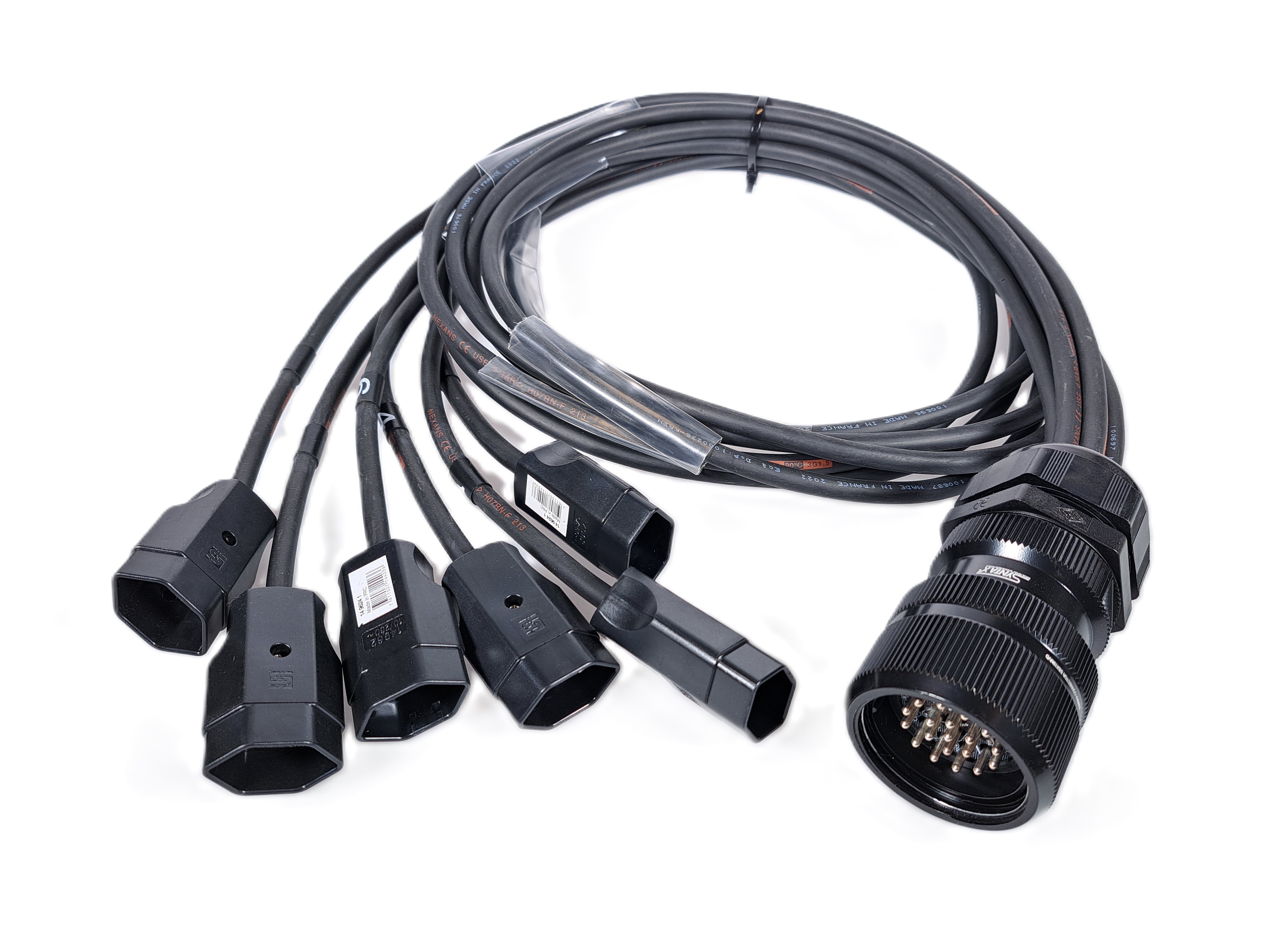 MAJOR Splitter (fouet) Socapex mâle vers 6xT13  MAJOR Splitter (fouet) Socapex mâle vers 6xT13