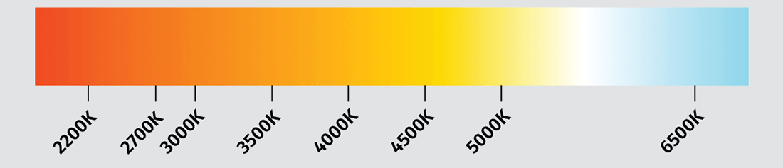 neon_flex_colour.png?ts=1729582637